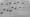Eviction filings