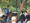 Migration Fests from 2019-2022 