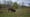 Lehigh Valley Zoo Bison 