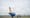 Allegiant air