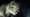 <strong>Mind The Teeth: </strong>Fossils indicate that <em>Tyrannosaurus rex</em> was an active hunter, in addition to being a scavenger. And in <em>Jurassic Park</em>, it also had...