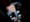 Support for Rep. Liz Cheney, seen here on April 20, is crumbling as Rep. Steve Scalise, the second-ranking House Republican, is publicly supporting her ouster from the GOP leadersh...