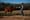 Andy Berry approaches one of his cows at his farm in New Hebron, Miss., on Dec. 16, 2022.