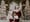 thumbnail_Santanicebook1.jpg