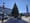 Christmas Tree getting ready for lighting cereony.jpg
