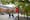 Students walk on the campus of Indiana University of Pennsylvania in Indiana, Pa, on Wednesday, Oct. 21, 2020. 