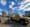 Palmer Twp. Shade Tree Commission