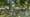 eastoncemetery2.jpeg