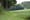Green rolling fields with farmland and thick stands of trees