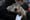 APTOPIX Groundhog Day
