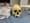 Skull.jpg