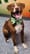 FB_IMG_1685720127806.jpg