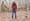 Kurt Vile