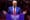 Donald Trump Madison Square Garden rally