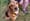Elvis from Peaceable Kingdom loves attention..jpg