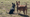 haafsville happy tails 1.png