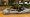 Sanctuary pet dog.png