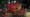 Dorney Park's 2023 Halloween Haunt