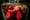 abundance-apples-blur-close-up-349730