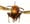 giant-wasps
