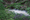 stream-cloudy-water