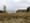 Wayne-County-1