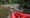 amruth-pillai-cvlz-tARc6k-unsplash
