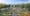 Flower-Show_Rendering