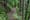 national-park-trail