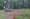 Natural gas drilling site in Butler County
