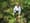 An-orphan-well-near-the-Allegheny-National-Forest