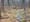First Day HIkes