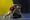 Mat Return program