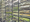 Bowery-vertical-agriculture