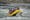 rafting photo 01