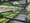 Bowery-Farming-growing-flats