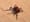 tick-lyme-disease