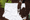 Soil Your Undies resized