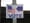 vote-generic