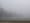 fog-creative commons