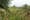 Nature Preserve